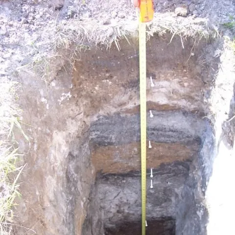 thumbnail for publication: The Role of Soil Management in Minimizing Water and Nutrient Losses from the Urban Landscape
